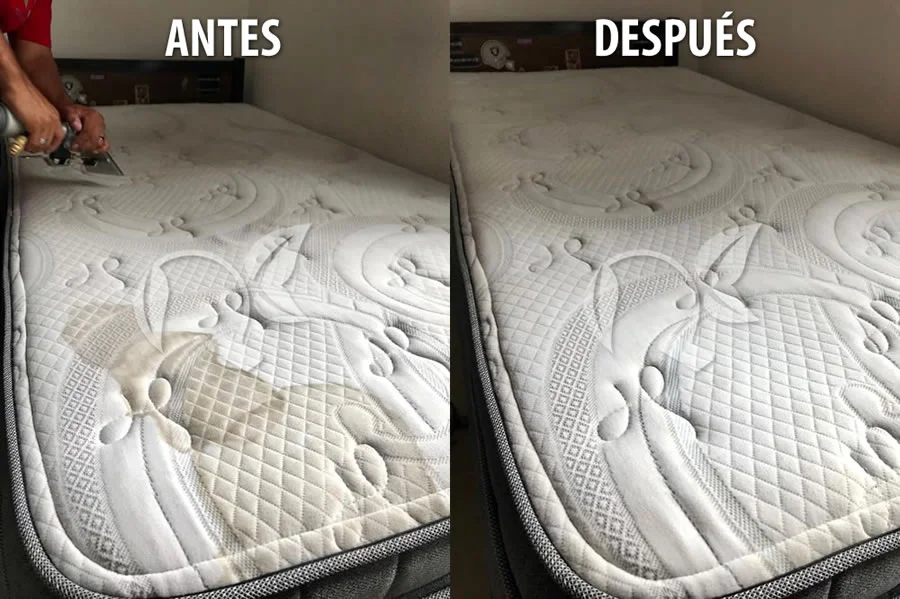 Limpieza de Colchón Individual a Domicilio CDMX Limpieza de Colchón Individual a Domicilio CDMX