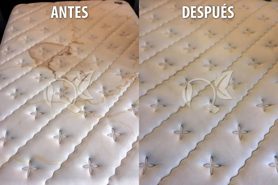 Limpieza de Colchón Matrimonial a Domicilio CDMX Limpieza de Colchón Matrimonial a Domicilio CDMX