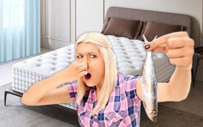 ¿Cómo Quitar Mal Olor de un Colchón? Tutorial Paso a Paso