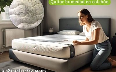 Cómo Quitar el Olor a Humedad de un Colchón Tutorial Paso a Paso