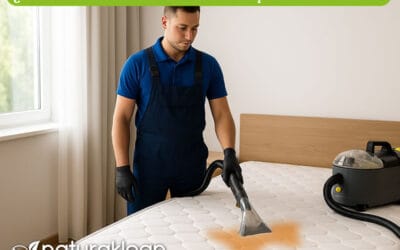 ¿Cuánto Cuesta el Servicio de Limpieza de Colchón a Domicilio en 2025?