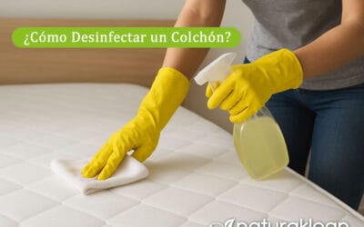 ¿Cómo Desinfectar un Colchón? Tutorial Paso a Paso