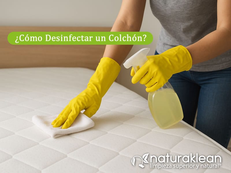 Como Desinfectar un Colchon Tutorial Paso a Paso
