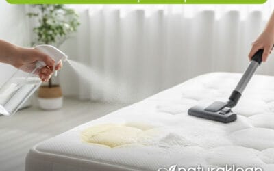 Remedio Casero Definitivo para Blanquear Tu Colchón