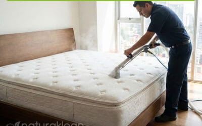 ¿Cuánto Cuesta el Servicio de Limpieza de Colchones a Domicilio en CDMX en 2026?