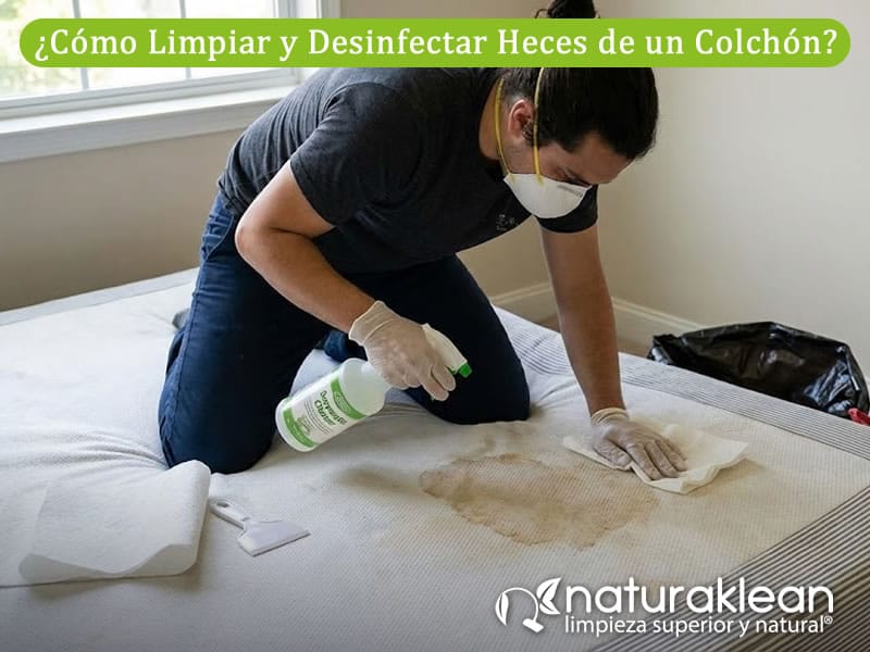 Como Limpiar y Desinfectar Heces de un Colchon Tutorial Paso a Paso