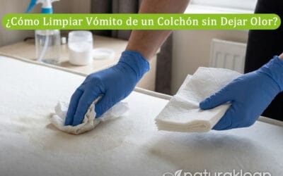 ¿Cómo Limpiar Vómito de un Colchón sin Dejar Olor? Tutorial Paso a Paso