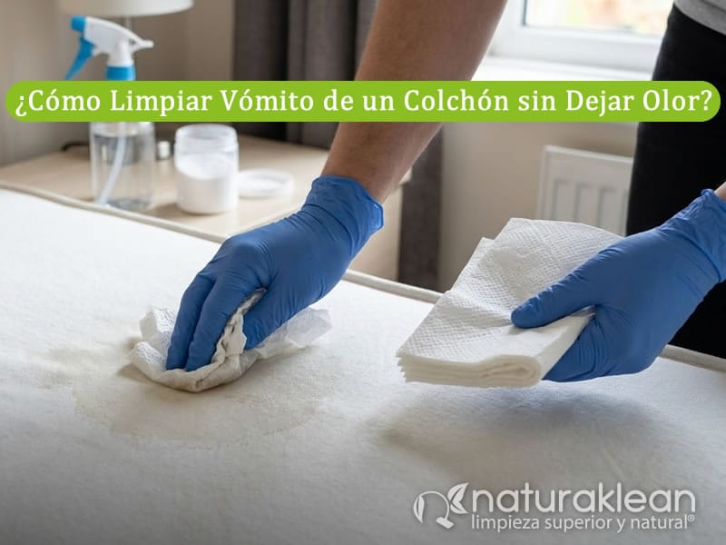 Como Limpiar Vomito de un Colchon sin Dejar Olor Tutorial Paso a Paso