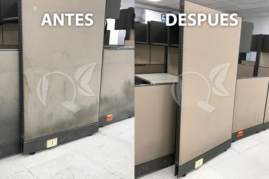 limpieza de mampara de oficina a domicilio cdmx limpieza de mampara de oficina a domicilio cdmx