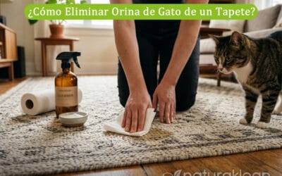 ¿Cómo Eliminar Orina de Gato de un Tapete? Guía Paso a Paso