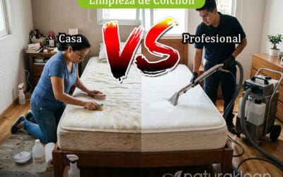Limpieza de Colchón en Casa vs. Servicio Profesional: ¿Realmente Vale la Pena?