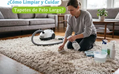 ¿Cómo Limpiar y Cuidar Tapetes de Pelo Largo? Guía de Mantenimiento